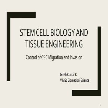 Control of Cancer Stem Cell Migration and invasion