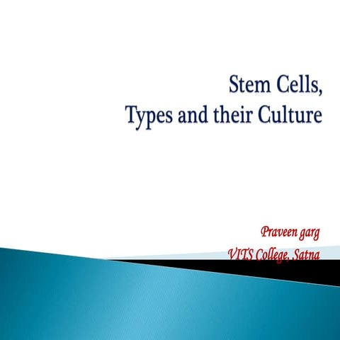 Stem cell culture