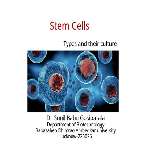 Stem cell culture-3.pptx.                .