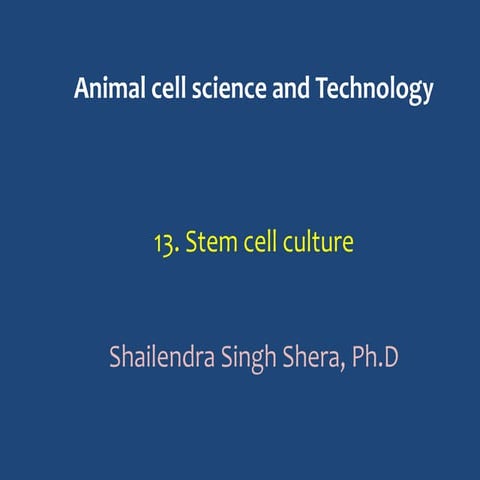 13.Stem cell culture