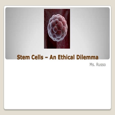 Stem Cell Ethics 