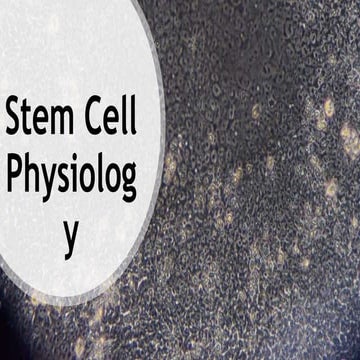 STEM CELL PHYSIO.pptx