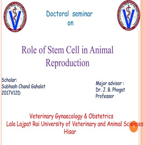 stem-cell-ppt-subhash-ppt