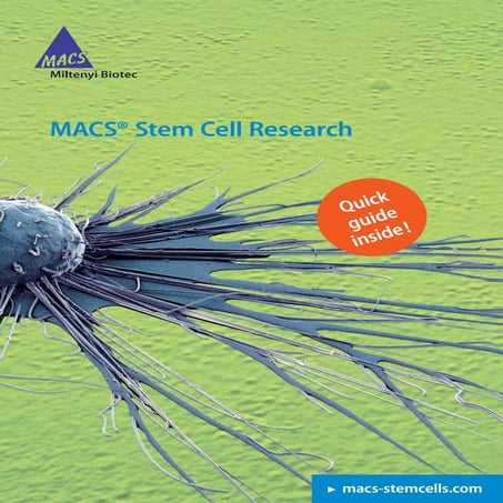 Stem Cell quick guide 2013 | PDF