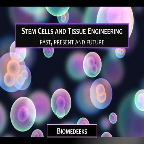 Stem Cells and Tissue Engineering: past, present and future