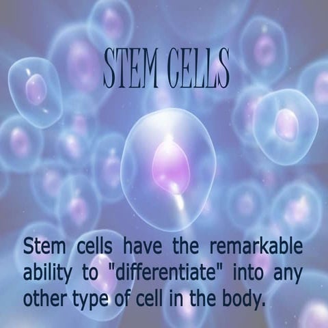 Stem cells | PPTX