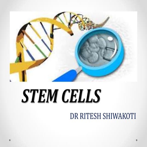 Stem cells