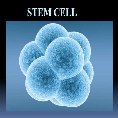 Stem cells