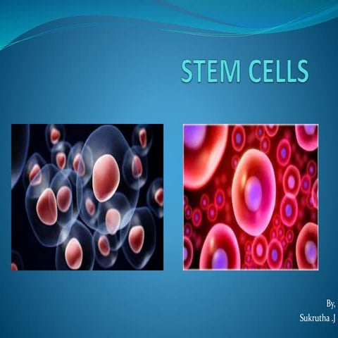 Stem cells