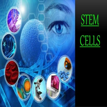 Stem cells & related treatments modalities