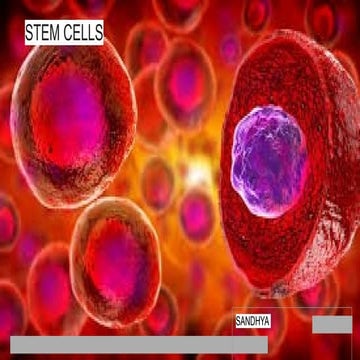 STEM CELLS.in medical application using the cord blood cells from the ...