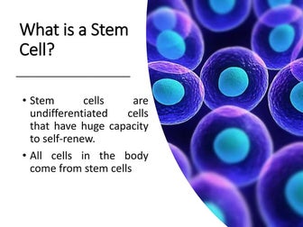 stem cells2.pptx