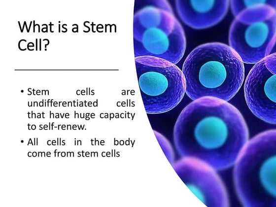 stem cells2.pptx