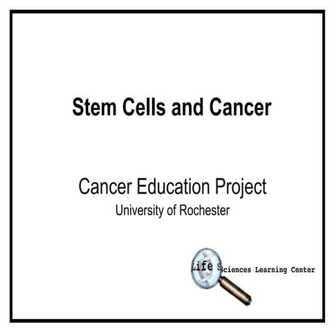Cancer Stem Cells | PPTX