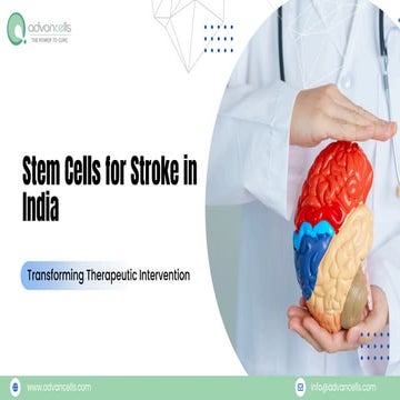 Stem Cells for Stroke in India: Transforming Therapeutic Intervention