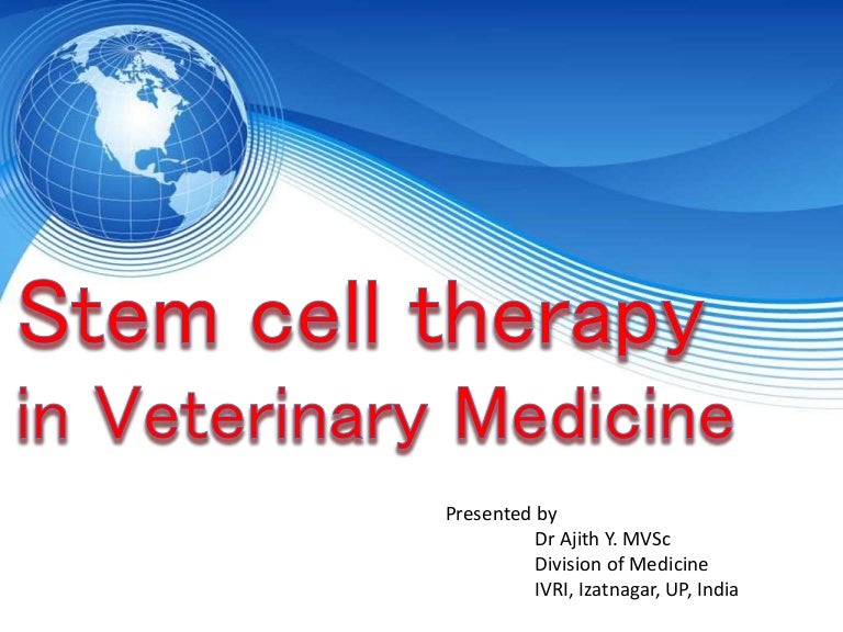stem-cell-therapy-in-veterinary-medicine