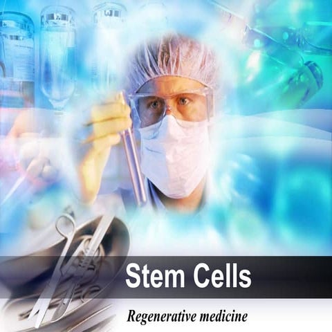 Stem cells 