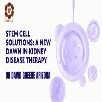 Stem cell Therapy For Kidney Failure & Disease Dr David Greene .pptx