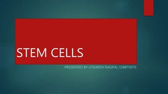 Stem cells ppt