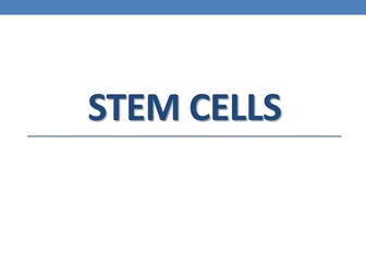 Stem cells 
