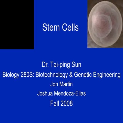 Stem Cells: Minireview Presentation