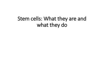 Stem cells what they are and what they do