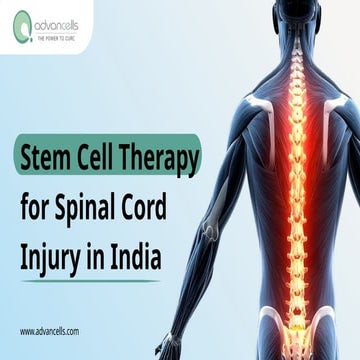 Stem Cell Therapy for Spinal Cord Injury in India | PPTX