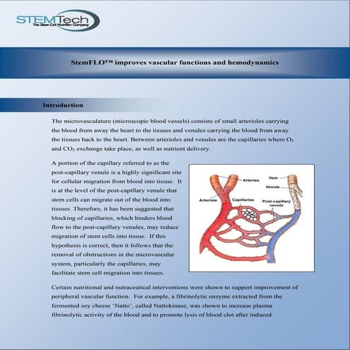 Stem flo summary | PDF