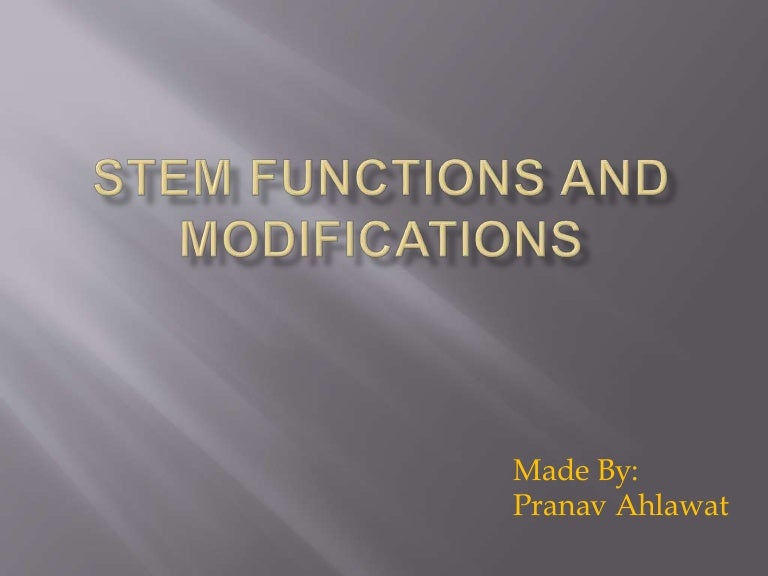 Stem Functions And its modifications