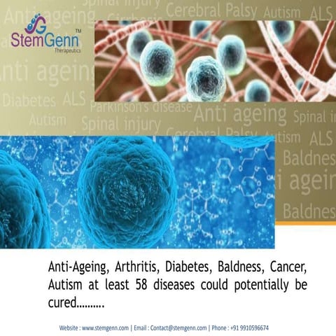 Stem cells niche and therapeutic applications | PPTX