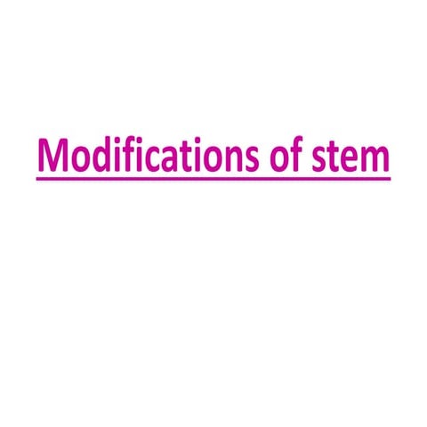 Stem modifications