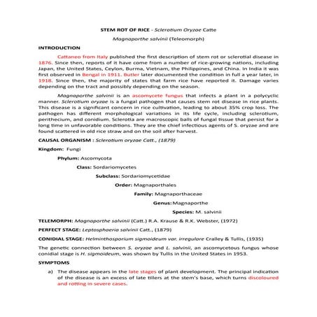 STEM ROT OF RICE.pdf