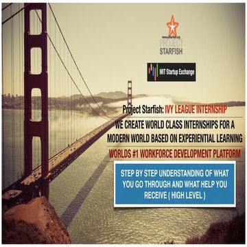 IVY LEAGUE INTERNSHIP : STEP BY STEP PROCESS | PDF