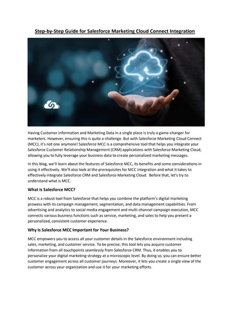 CTM-Overview-EMEA | PDF