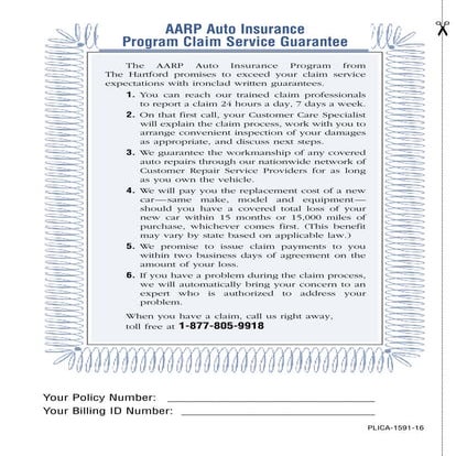 Auto Insurance Brochure | PDF