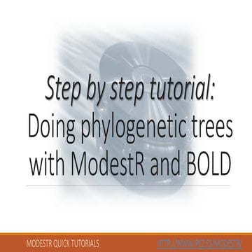 25. Phylogenetics trees with ModestRr and bold (Version ModestR 6.5 or higher)