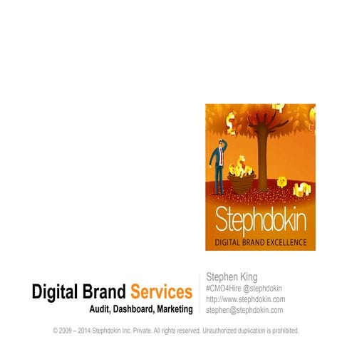 Stephdokin Digital Brand Services (Audit, Dashboard, Marketing)