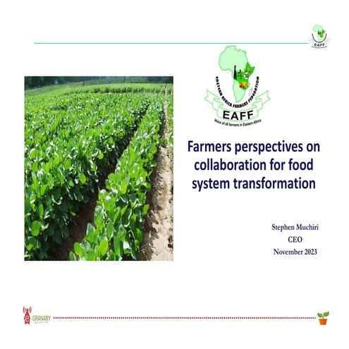 Stephen Muchiri EAFF.pdf