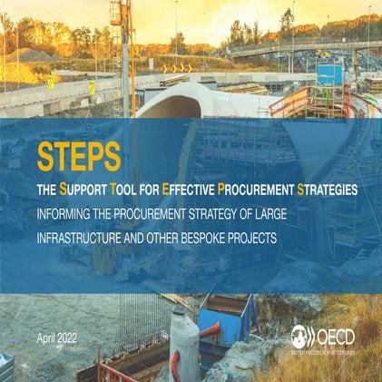  The Support Tool for Effective Procurement Strategies (STEPS)