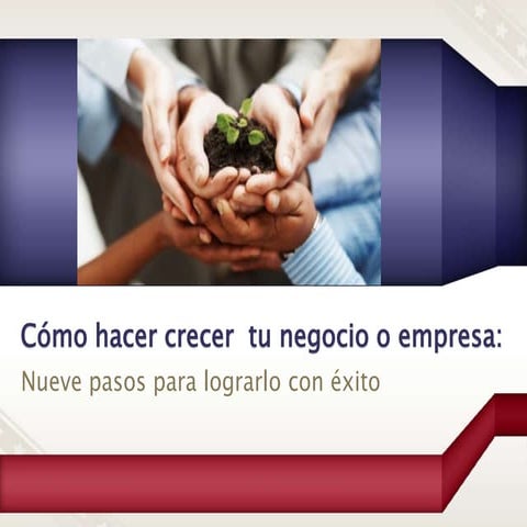 Cómo hacer crecer tu negocio o empresa