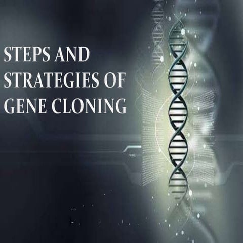 Steps and strategies of gene cloning & DNA libraries.pptx