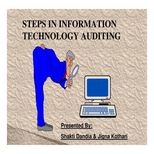 Steps in it audit