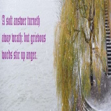 Steps in translation process