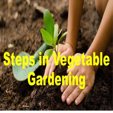Steps in Vegetable Gardening