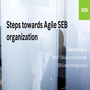 Seb’S Organisation Structure | SEB Divisions – CXDHVT
