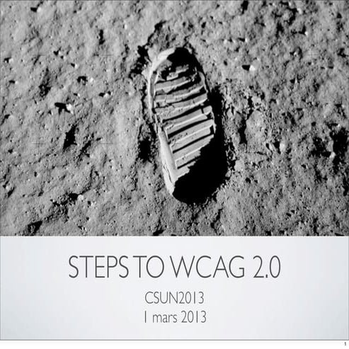 Steps to WCAG 2.0