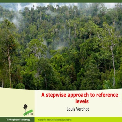 Stepwise approach to Reference Levels REDD+