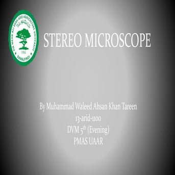 Stereo Microscope or Dissecting Miscrscope