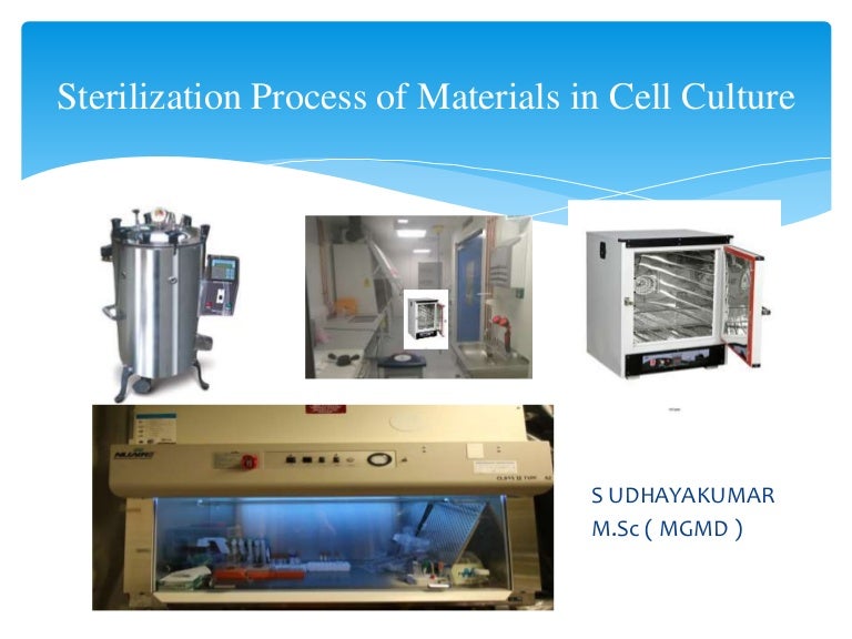 sterilization-techniques-in-cell-culture