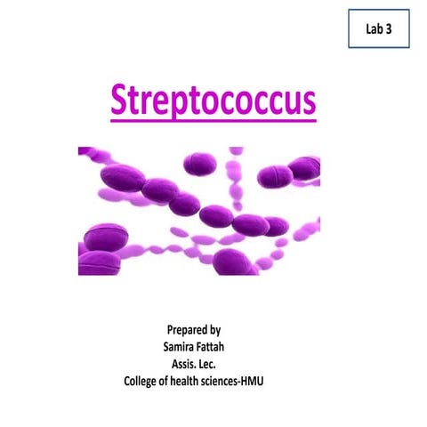 Sterptococcus